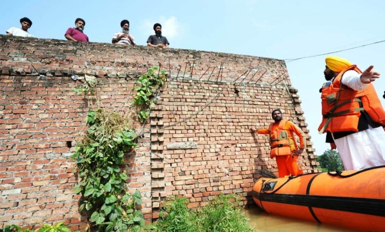 Flood in Punjab Bhagwan in field