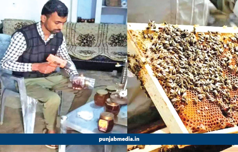 Bee Keeping