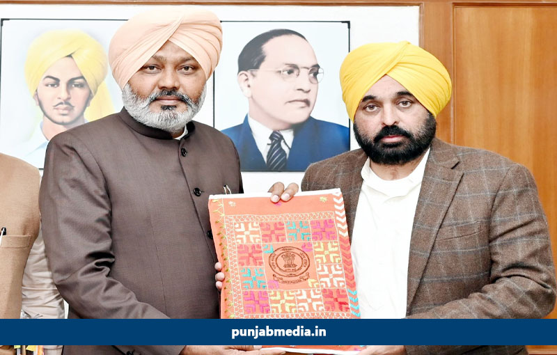 Punjab budget