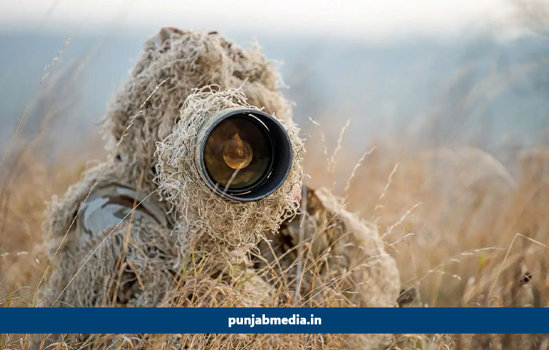 Wildlife Photography