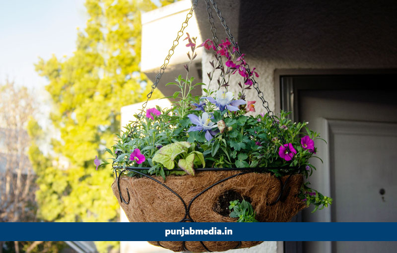 hanging baskets