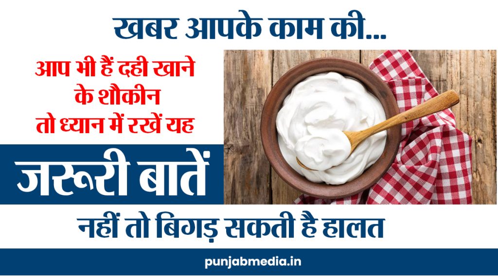 Curd