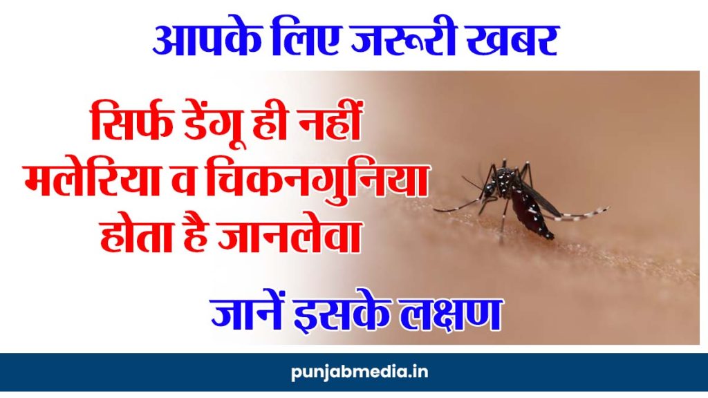 Dengue