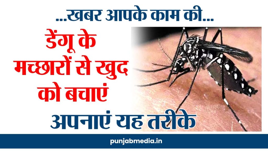 Dengue