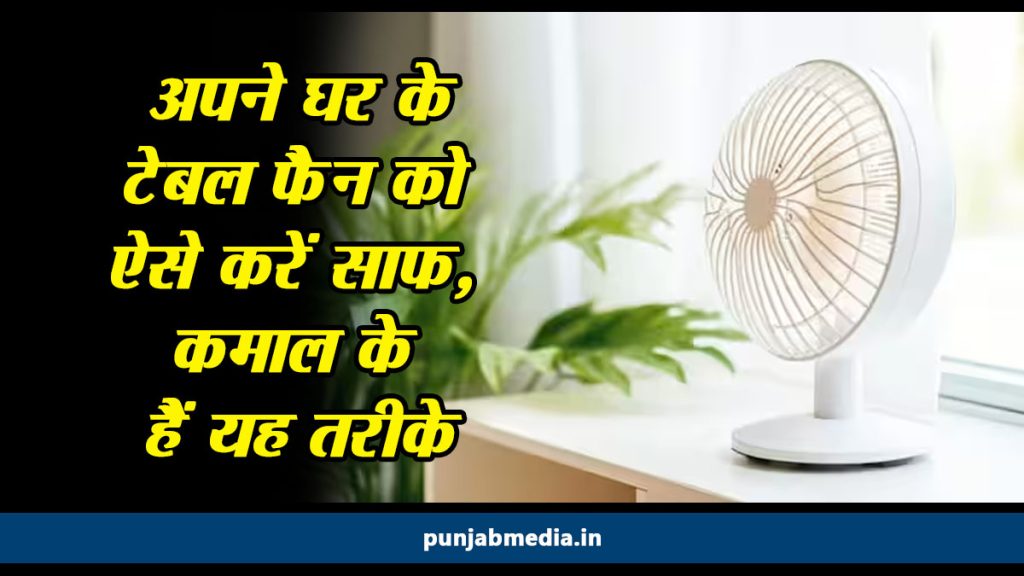 Table Fan