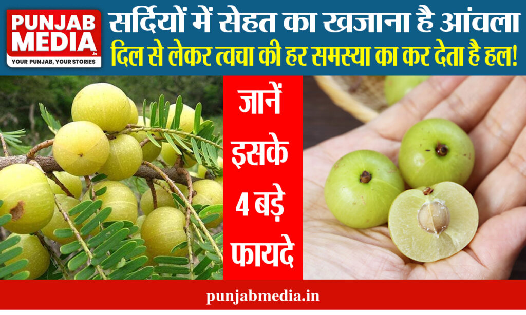 Amla Benefits