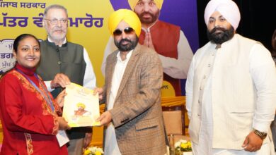 CM Bhagwant Singh Mann told about Government Jobs