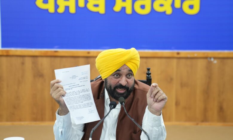 Punjab CM Bhagwant Singh Mann told about Central Industrial Security Force