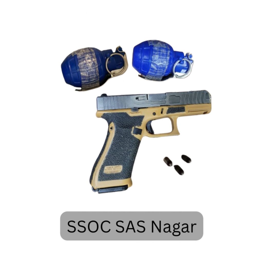 Babbar Khalsa International