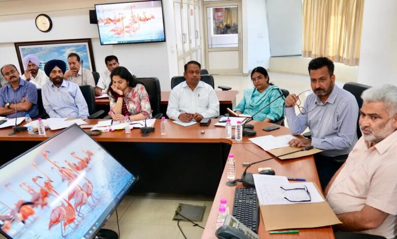 Minister Lal Chand Kataruchak told about Tree Plantation