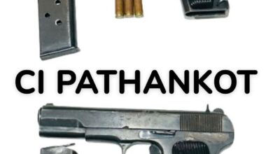 Punjab police foiled a premeditated murder attempt