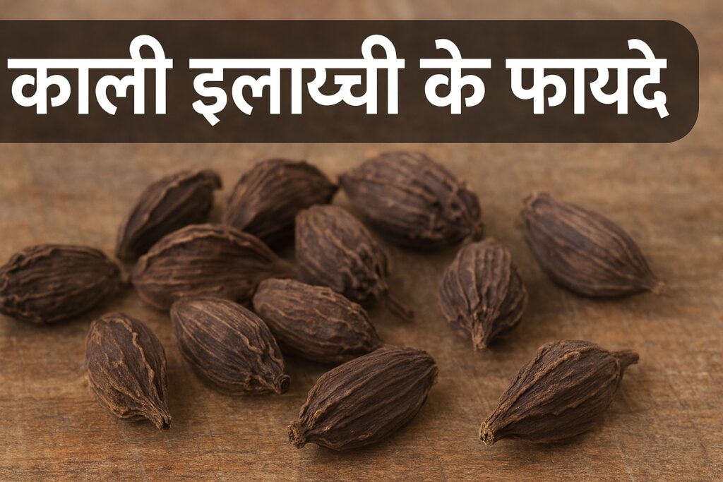 Black Cardamom Benefits