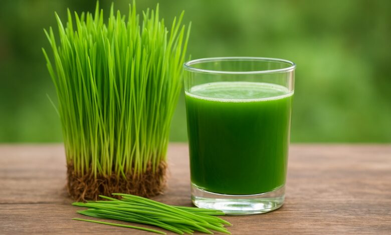 Wheatgrass Juice Benefits in Hindi