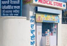 Punjab government will open 'Blue Cross' stores in veterinary polyclinics