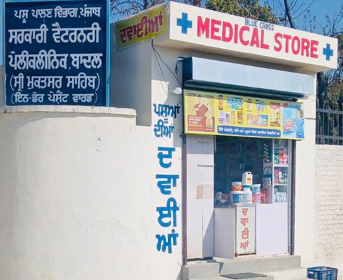 Punjab government will open 'Blue Cross' stores in veterinary polyclinics