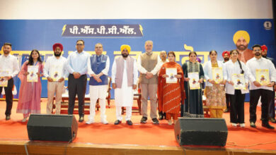 Employment revolution in AAP government