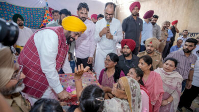 government jobs are being provided to the youth - Bhagwant Mann