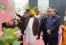 A horticulture center will be established modeled after the World Hearty Center ecosystem