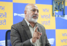 Impact of the War Against Drugs Campaign