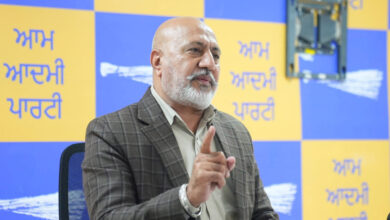 Impact of the War Against Drugs Campaign