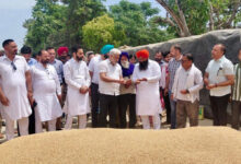 Procurement of Over 2.4 Million Metric Tons Lal Chand Kataruchak