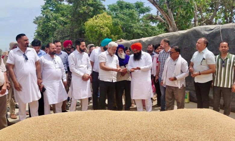 Procurement of Over 2.4 Million Metric Tons Lal Chand Kataruchak