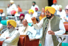 Punishment Up to Life Imprisonment for Sacrilege