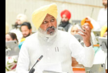 Strict Laws Against Sacrilege, No Leniency Now Harpal Cheema