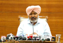 BJP is playing politics by undermining unity Harpal Cheema