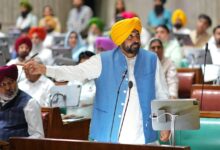 CM Mann's Major Decision on Labour Day, Workers to Now Receive Greater Rights