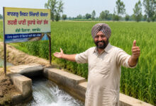 Canal Water Reaches Balachaur Kandi Region Major Relief for 38 Villages