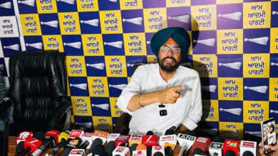 Punjab Police Deals Major Blow to Cyber ​​Terrorism; AAP Heaps Praise