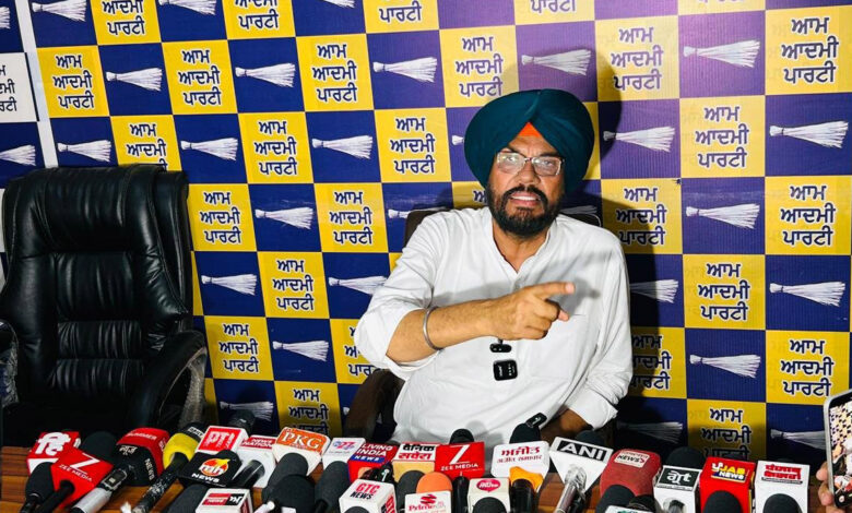 Punjab Police Deals Major Blow to Cyber ​​Terrorism; AAP Heaps Praise