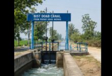 Record 167% Increase in Irrigation from the Bist Doab Canal Network