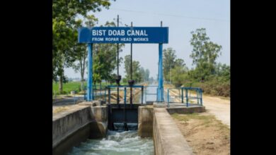 Record 167% Increase in Irrigation from the Bist Doab Canal Network
