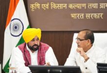 Relief for Punjab Farmers Mann Government Vows to Prevent Fertilizer Shortage