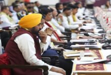 Central government should give special status to Punjab, demanded package for borders Mann