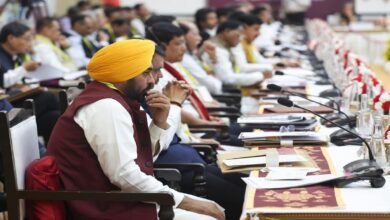 Central government should give special status to Punjab, demanded package for borders Mann