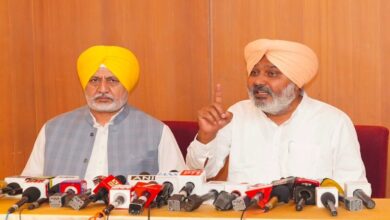 Major revelation in forensic report Viral video is fake – Cheema