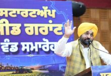 Punjab becomes new home for startups, 31 enterprises get seed grants Mann