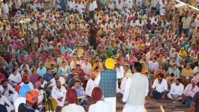 The Badal family's misdeeds will be exposed to the public Bhagwant Mann
