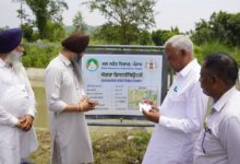 Mann government will ensure 100% canal water reaches the tail-ends for irrigation Goyal