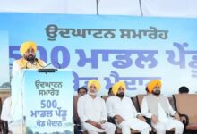 509 new rural sports grounds inaugurated in Punjab; total number reaches 734.