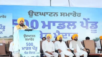 509 new rural sports grounds inaugurated in Punjab; total number reaches 734.