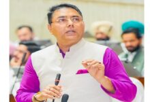 Aman Arora lashes out at the opposition; claims 68,000 government jobs.