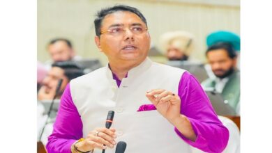 Aman Arora lashes out at the opposition; claims 68,000 government jobs.