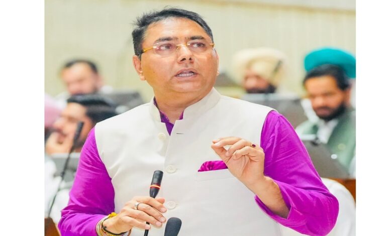 Aman Arora lashes out at the opposition; claims 68,000 government jobs.