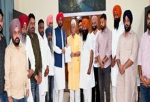 Dhaliwal meets LG Manoj Sinha; discusses border areas.