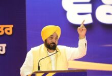 No Cash No Recommendations CM Mann Hands Over Government Jobs to 866 Youths