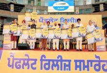 AAP election pamphlet released; CM Mann highlights government's achievements.
